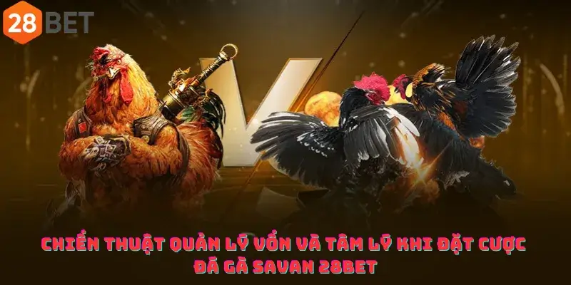 Chiến thuật quản lý vốn và tâm lý khi đặt cược đá gà Savan 28bet