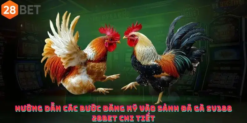 Hướng dẫn các bước đăng ký vào sảnh Đá gà SV388 28bet chi tiết
