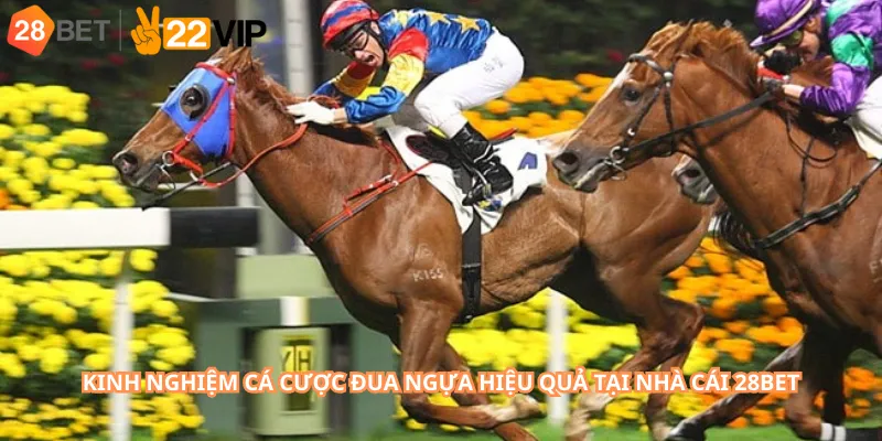 Kinh nghiệm cá cược đua ngựa hiệu quả tại nhà cái 28Bet