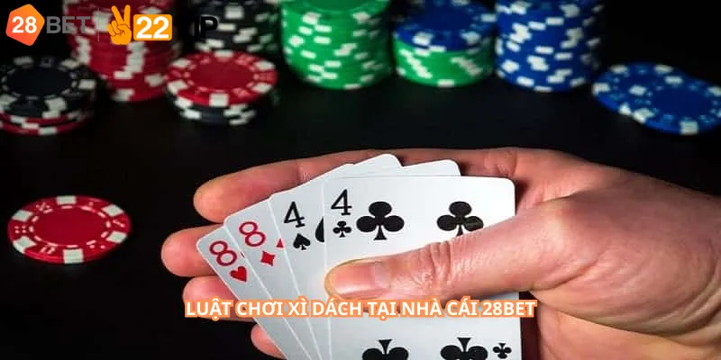 Luật chơi xì dách tại nhà cái 28Bet