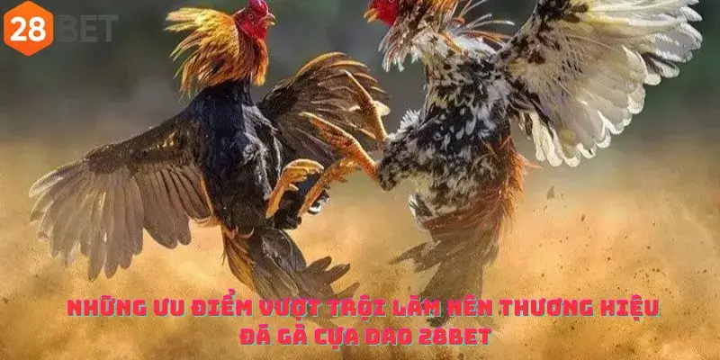 Những ưu điểm vượt trội làm nên thương hiệu Đá gà cựa dao 28bet